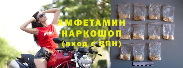 гидра Гусиноозёрск
