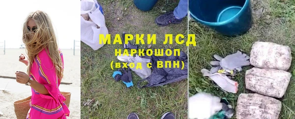 гидра Гусиноозёрск