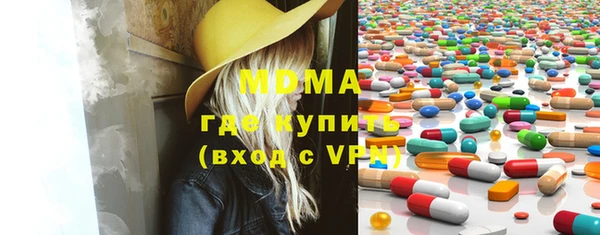 шишки Горняк