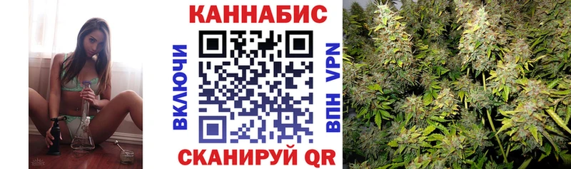 где найти   Долинск  Конопля AK-47 